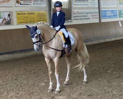 dressage horse Demi (Westphalian, 2012, from Diego P)