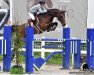 jumper Aberdeen 34 (Oldenburg show jumper, 2006, from Araconit)