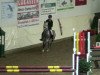 jumper Niki 50 (German Riding Pony, 2005, from Ninaro)