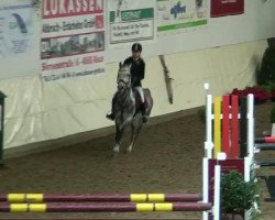 jumper Niki 50 (German Riding Pony, 2005, from Ninaro)