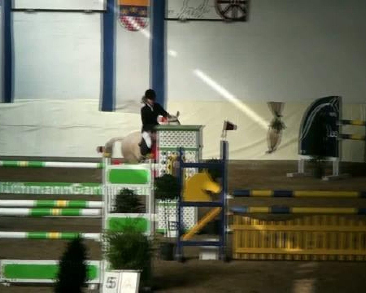 Springpferd Tavell Coeur H (Deutsches Reitpony, 2002, von Top King)