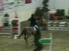 jumper Carpaccio 12 (German Riding Pony, 2004, from Contus)