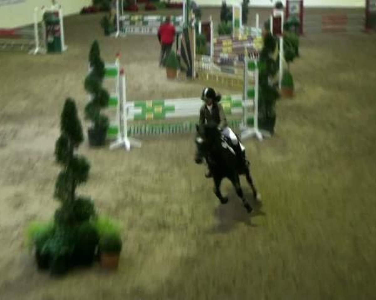 Springpferd Top Dominus (Deutsches Reitpony, 1991, von Duktus)