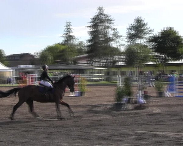 Reitturnier Lentzke - Reitanlage Krehl 2022