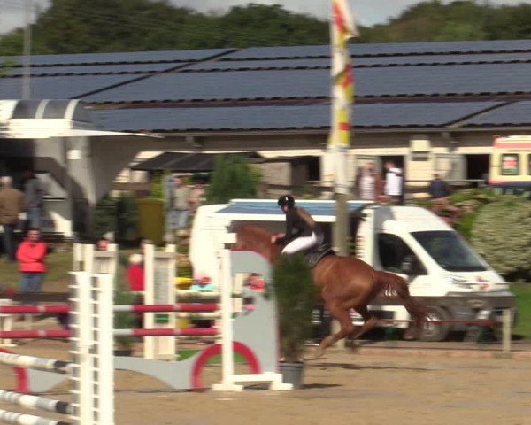 Reitturnier Buchenhof-Ibbenbüren 2022