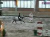 jumper Na und 9 (German Riding Pony, 2005, from Topnatrejo)