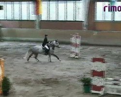 Springpferd Na und 9 (Deutsches Reitpony, 2005, von Topnatrejo)