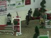 jumper Vampire 2 (German Riding Pony, 2002, from Vivaldi)