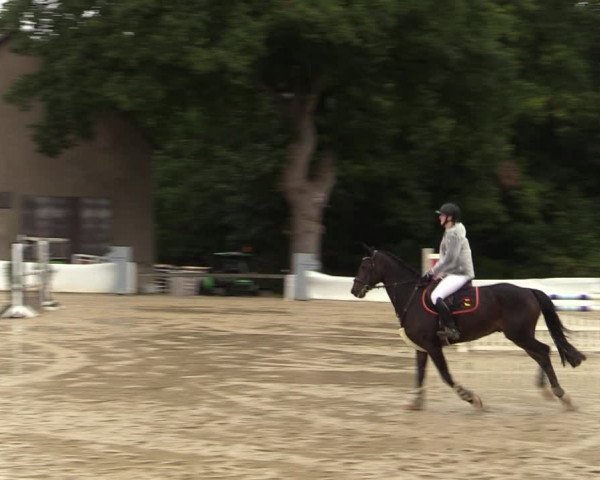Reitturnier Buchenhof-Ibbenbüren 2022