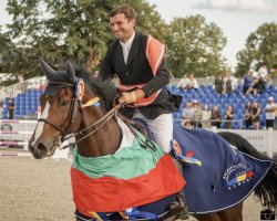 jumper Derryglen Othello (Belgian Warmblood, 2014, from Kafka vd Heffinck)