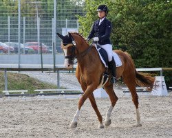 dressage horse Wakando 6 (Hanoverian, 2000, from Wilawander xx)