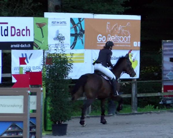 Reitturnier Sins 2022 | Herbst-Concourse Sins-Brand