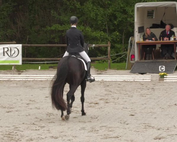 Reitturnier Ditzingen 2022