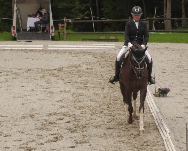 Reitturnier Ditzingen 2022