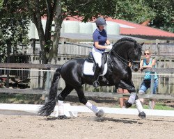 horse Jorrit van't Speykbosch Ster Sport (Friese, 2011, from Norbert 444)