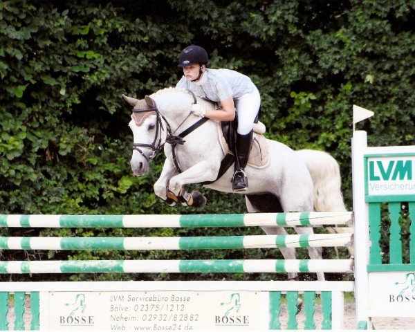 jumper Clio 24 (German Riding Pony, 1994, from Champus)