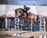 jumper Amazing Amy 10 (Zangersheide riding horse, 2014, from Arezzo VDL)