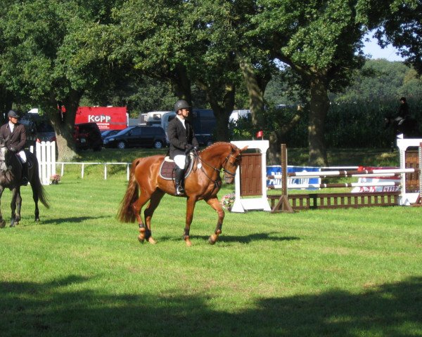 jumper Cabaljero (Lithuanians Warmblood, 2007, from Charisma Star)