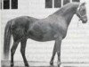 horse Downland Chevalier (Welsh-Pony (Section B), 1962, from Downland Dauphin)
