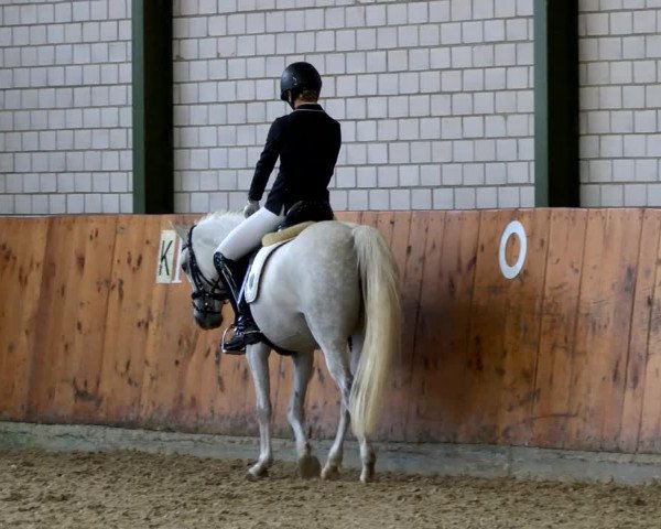 Reitturnier Würselen - Reitanlage Rueben 2022