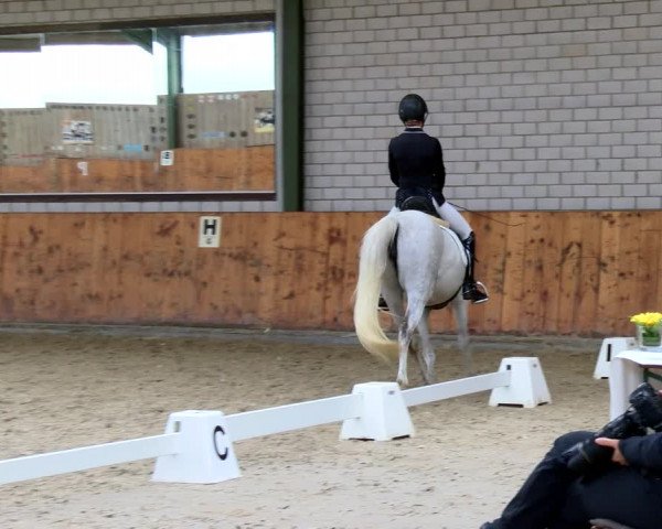 Reitturnier Würselen - Reitanlage Rueben 2022