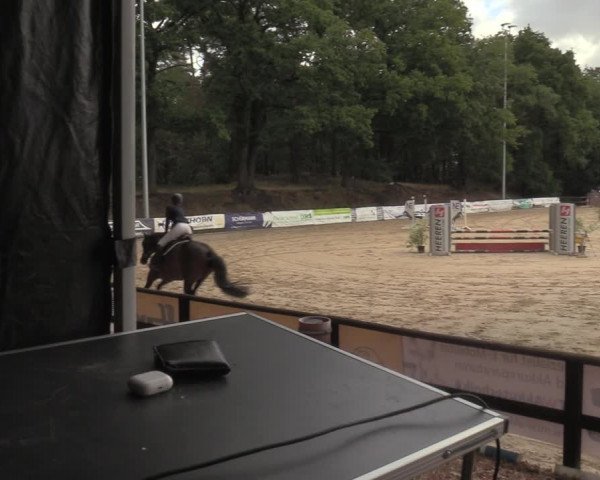 Reitturnier Albersloh 2022