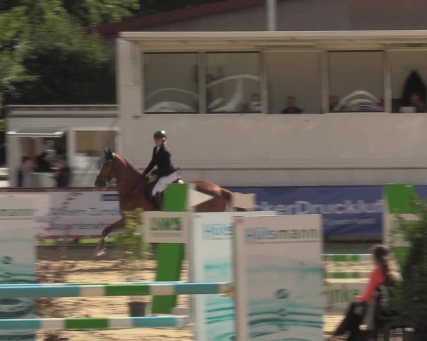 Reitturnier Albersloh 2022