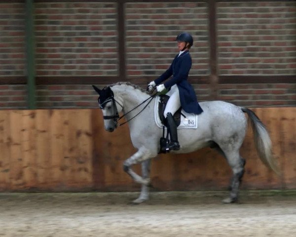 Reitturnier Würselen - Reitanlage Rueben 2022
