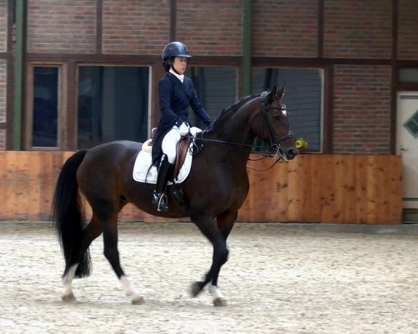 Reitturnier Würselen - Reitanlage Rueben 2022