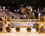 jumper Hollyday V (KWPN (Royal Dutch Sporthorse), 2012, from Quality Time)