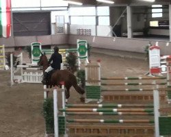Springpferd Florestin 6 (Hannoveraner, 2005, von For Pleasure)