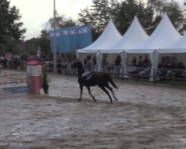 Reitturnier Albersloh 2022