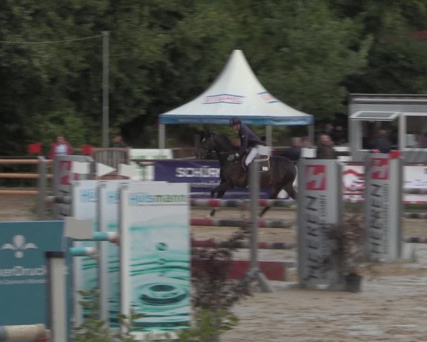 Reitturnier Albersloh 2022