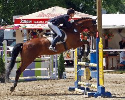 jumper Flämingslord (Trakehner, 1998, from Bellheim)