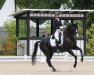 dressage horse Diego Island (Hanoverian, 2008, from Dancier)