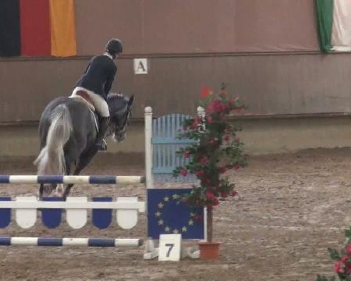 jumper Leuchtfeuer 17 (Westphalian, 2007, from Lord Z)