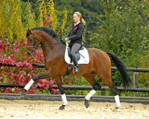 stallion Louis le Bon (Rhinelander, 1998, from Lancer II)