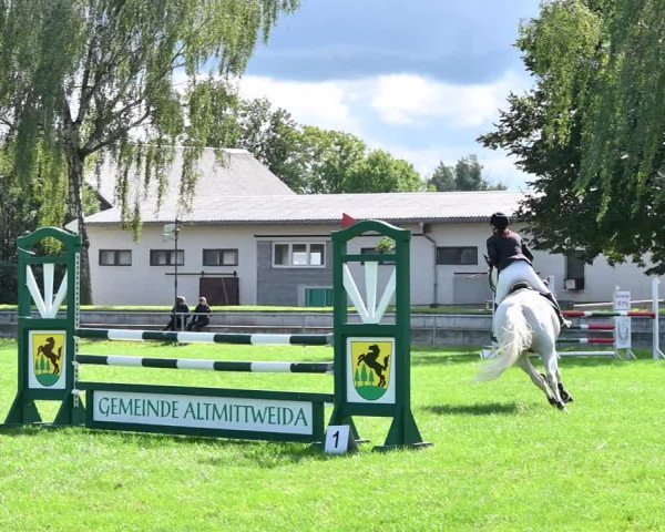Reitturnier Altmittweida 2022