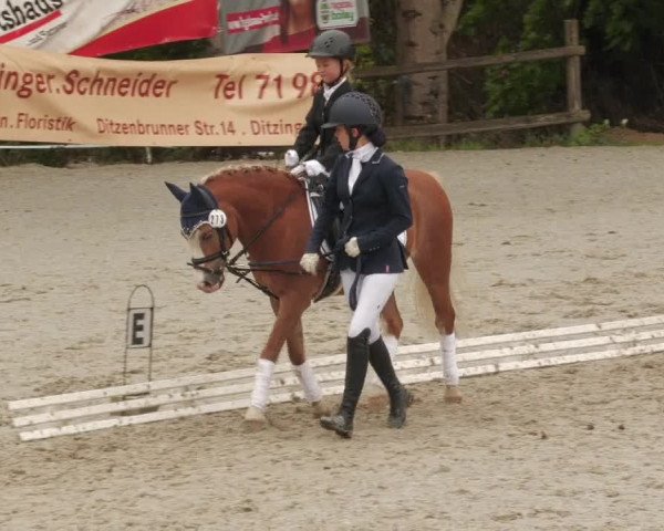 Reitturnier Ditzingen 2022
