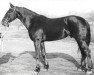 stallion Gorizont (Orlov Trotter, 1931, from Dodyrj)