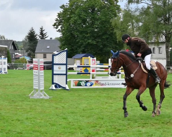 Reitturnier Altmittweida 2022