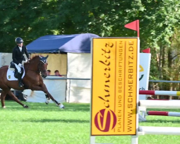 Reitturnier Altmittweida 2022