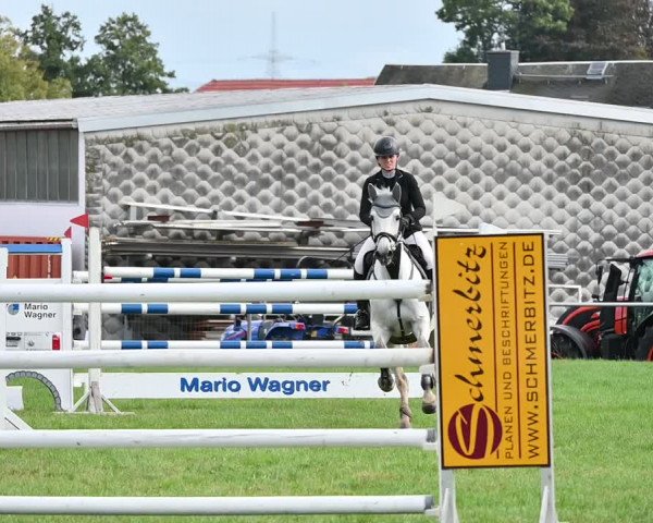 Reitturnier Altmittweida 2022