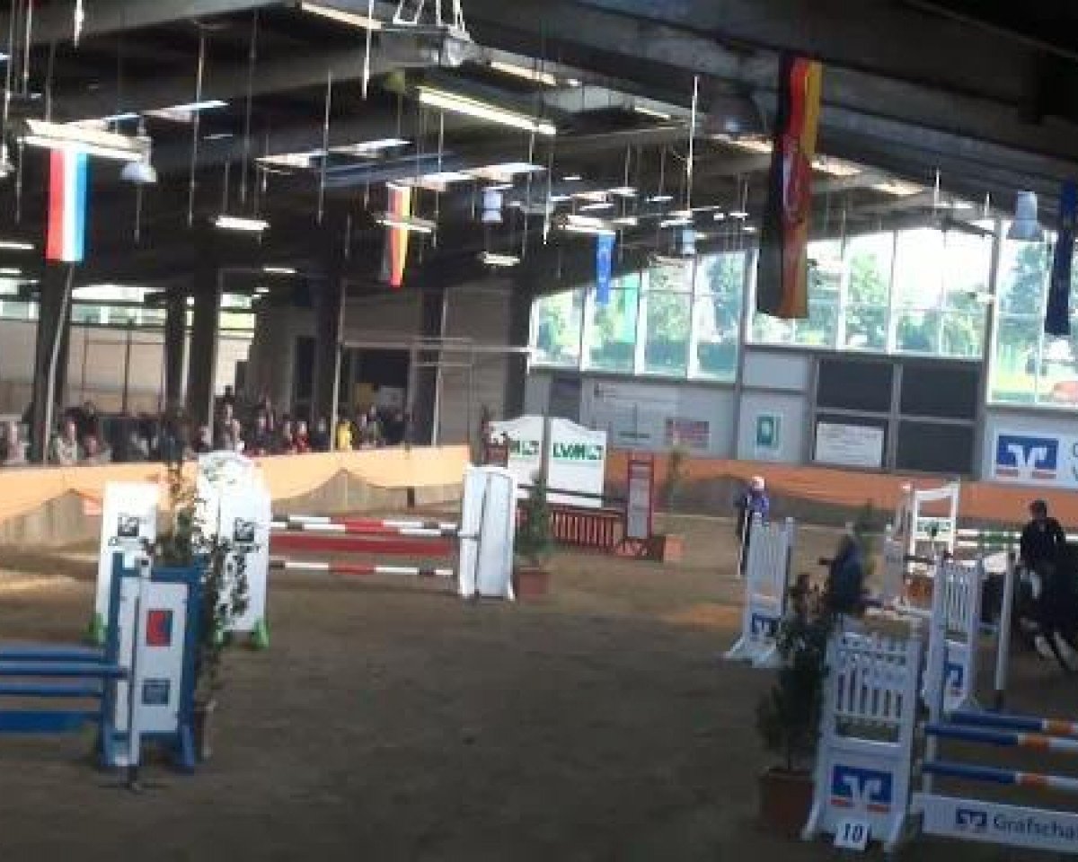 Springpferd Barbossa (KWPN (Niederländisches Warmblut), 2005, von Burggraaf)