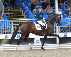 broodmare FBW Vjera (German Sport Horse, 2018, from Vitalis)