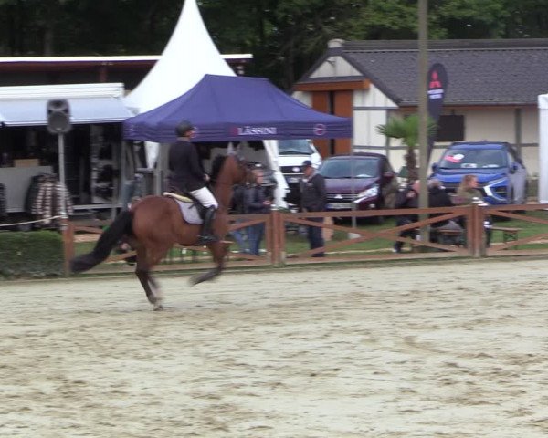 Equus Colonius - Reitanlage Brüse 2022