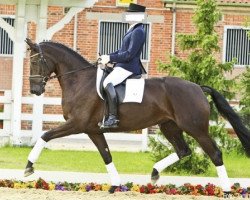 broodmare Fashion Week (Hanoverian, 2007, from Florianus)