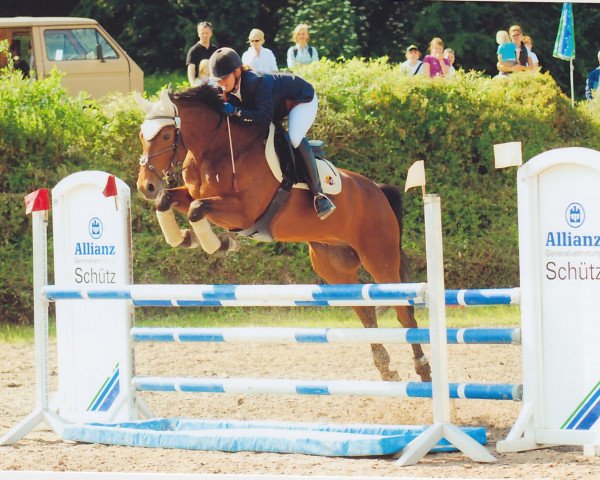 horse Sir Chocolate 3 (Hanoverian, 2000, from Cadiz)