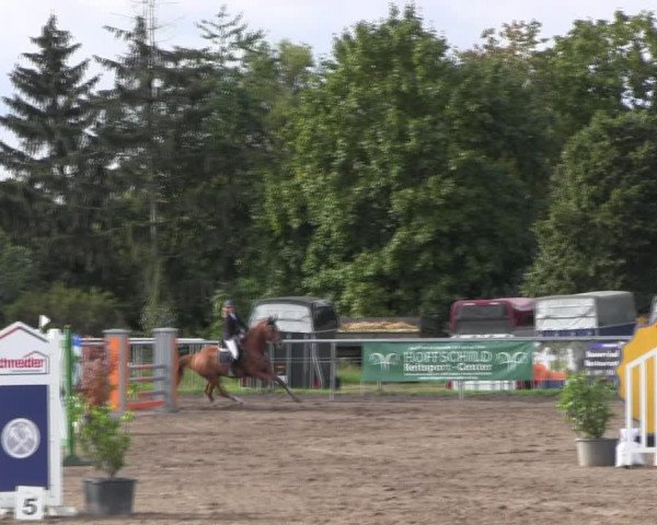 Reitturnier Lentzke - Reitanlage Krehl 2022
