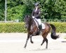 dressage horse Darcy 25 (German Riding Pony, 2006, from Alexandre Dumas)